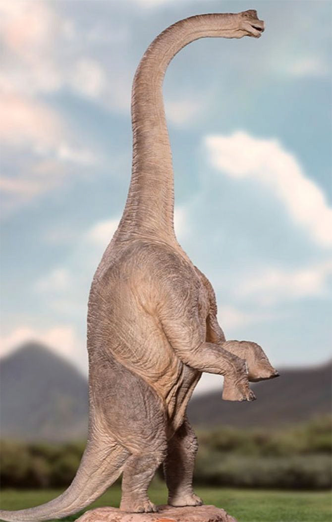 Brachiosaurus - Jurassic Park - Demi Scale 1/20 by Iron Studios