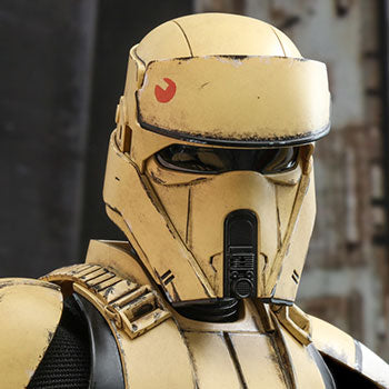 Shoretrooper™ by Hot Toys